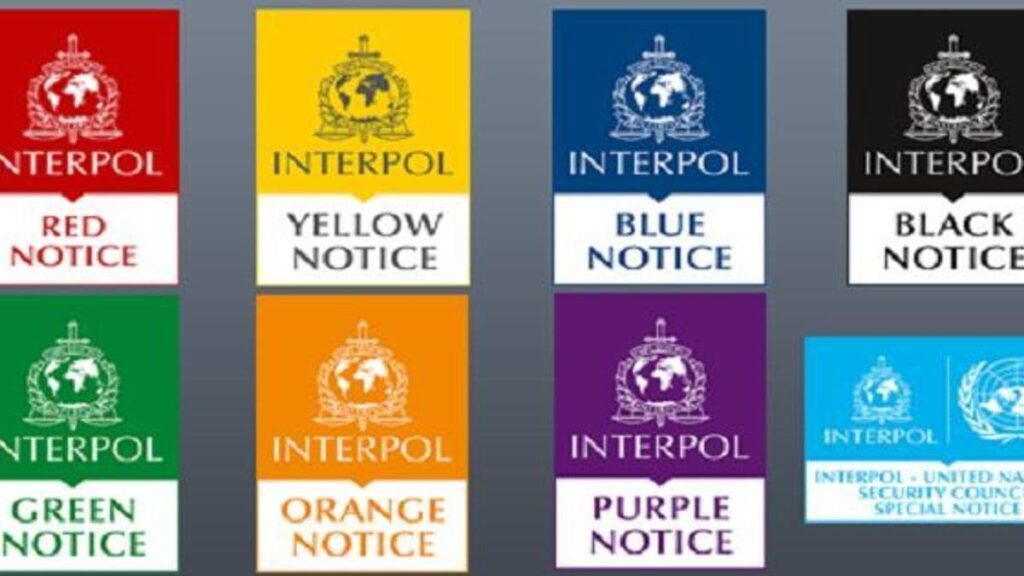 Types of Interpol notifications and their functions