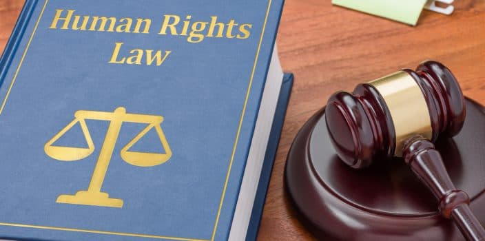 Work of human rights lawyers with international cases